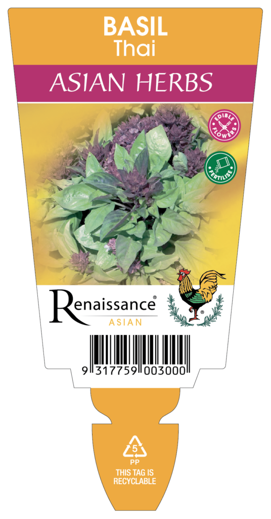 Basil Thai Renaissance Herbs