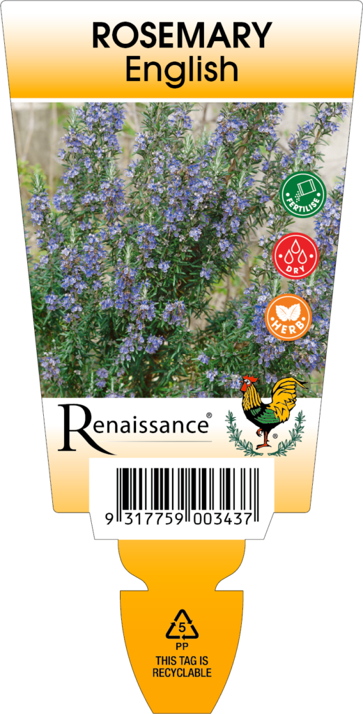 REN4317-521x1024.png