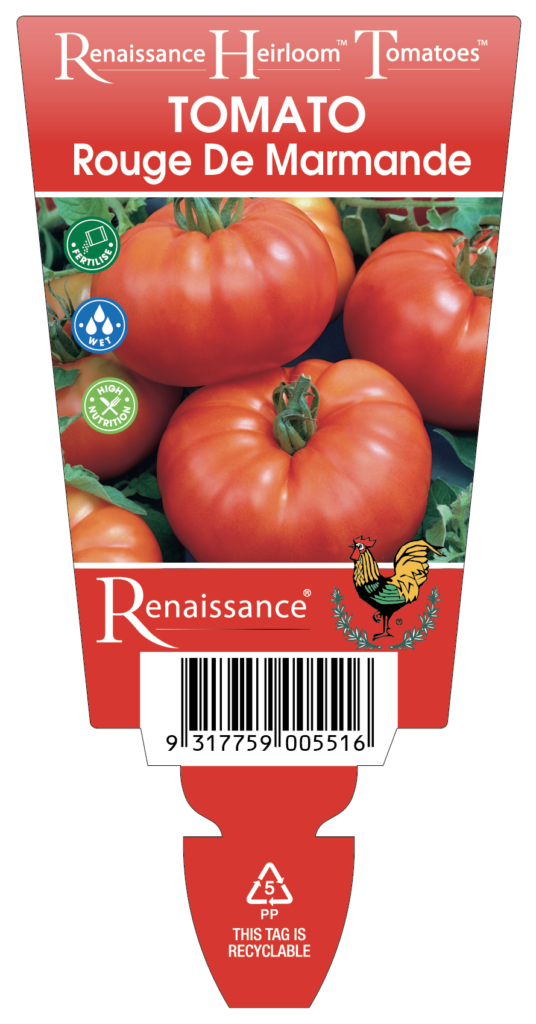 Tomato Heirloom ‘Rouge de Marmande’ Renaissance Herbs