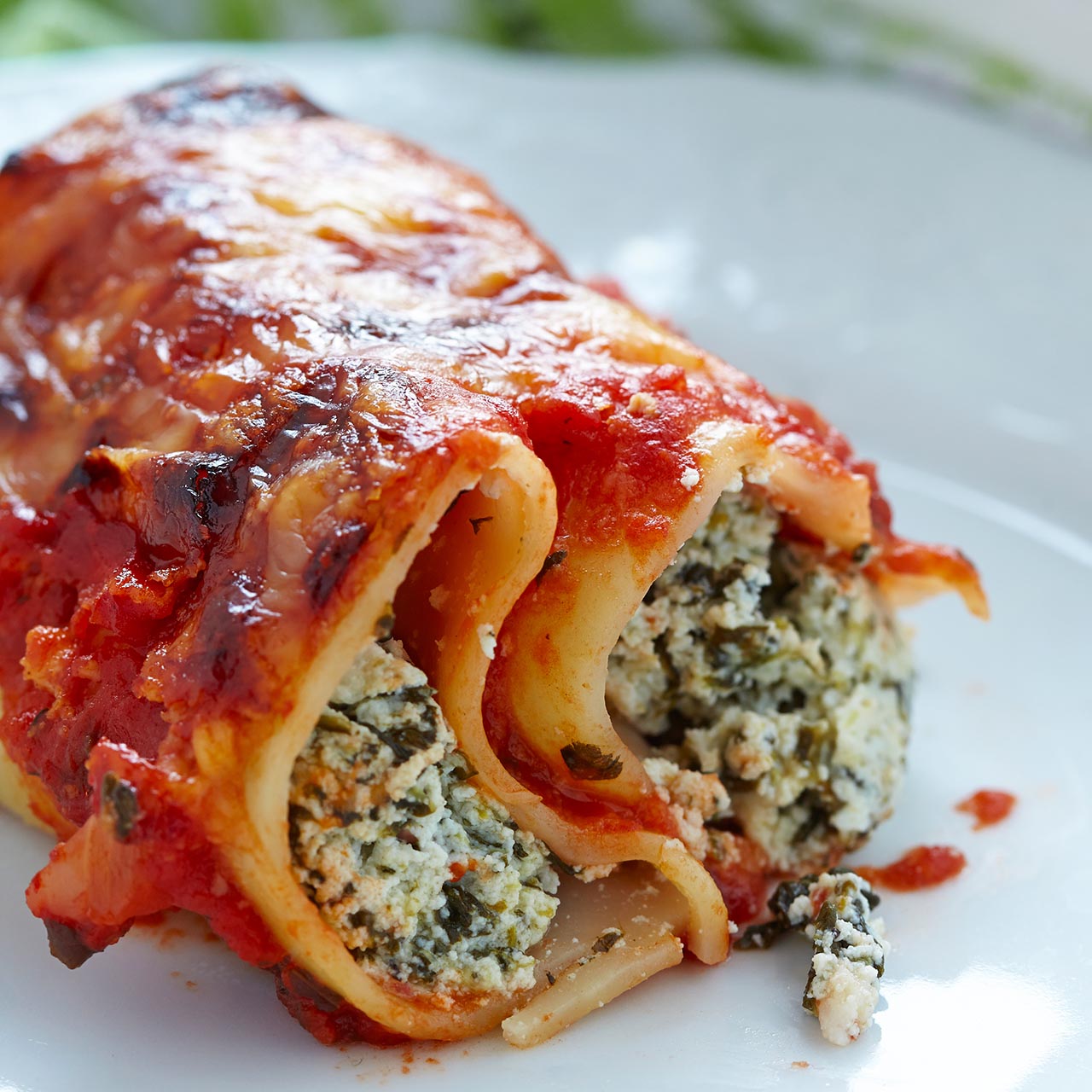 Spinach and Ricotta Cannelloni – Renaissance Herbs