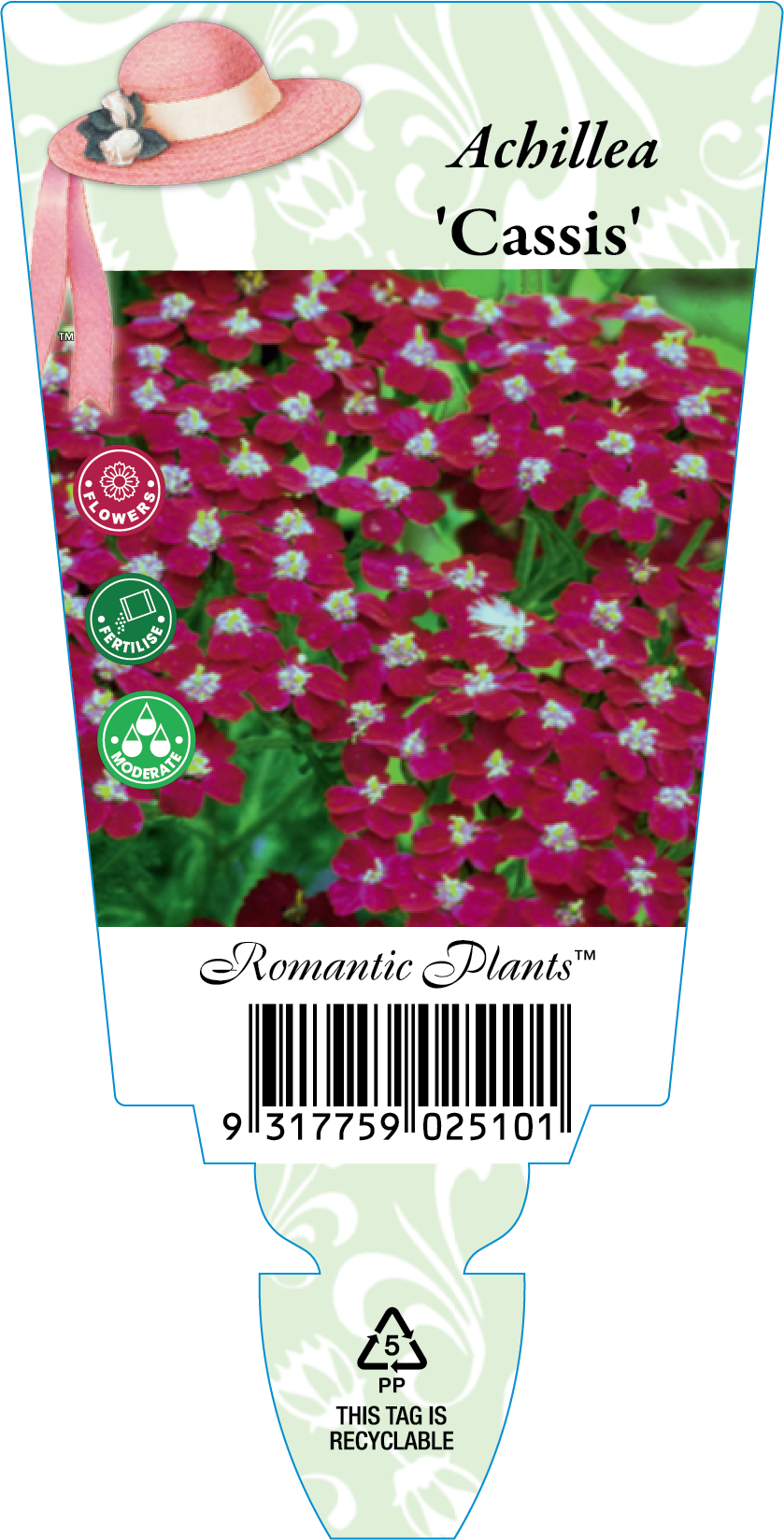 rom6521