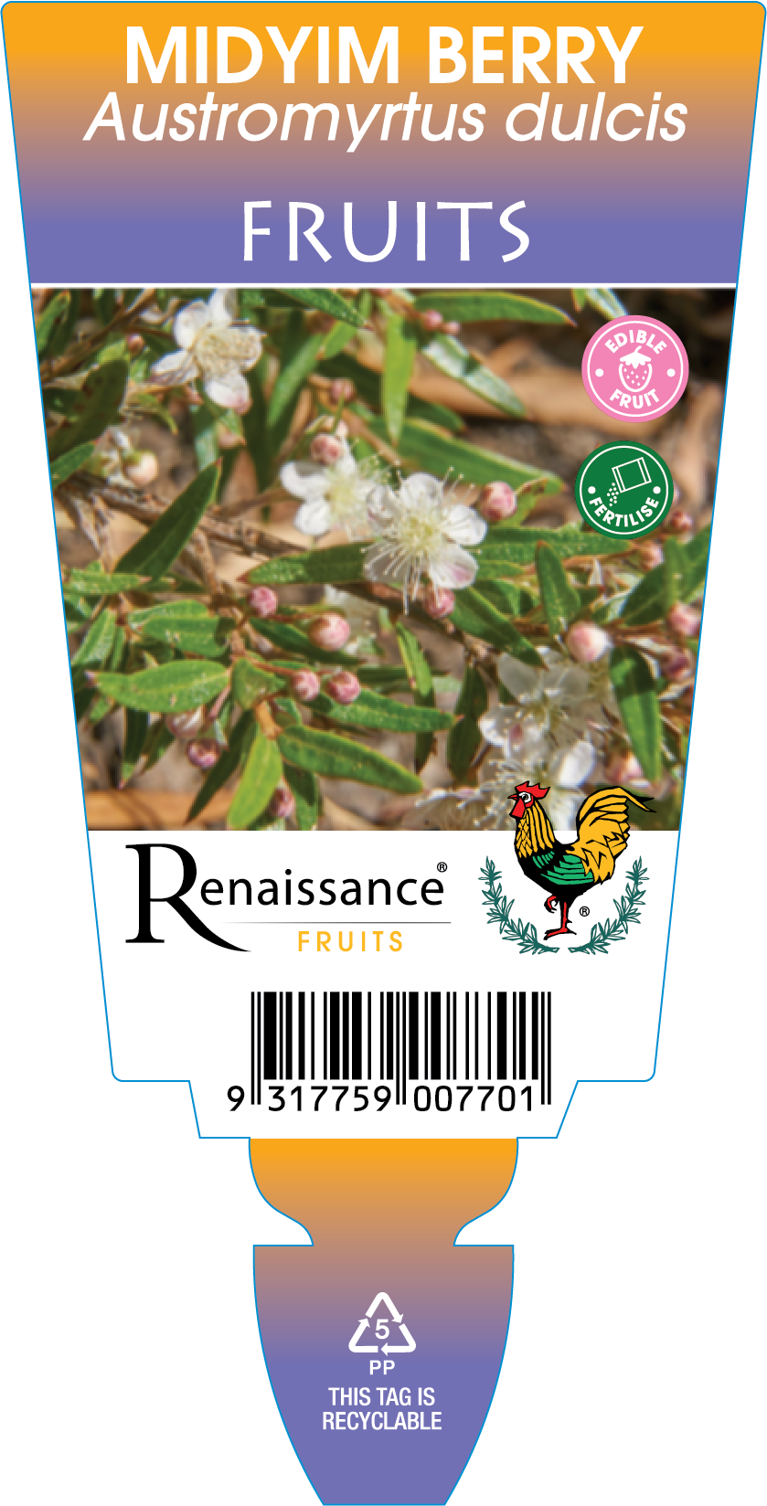 ren4597