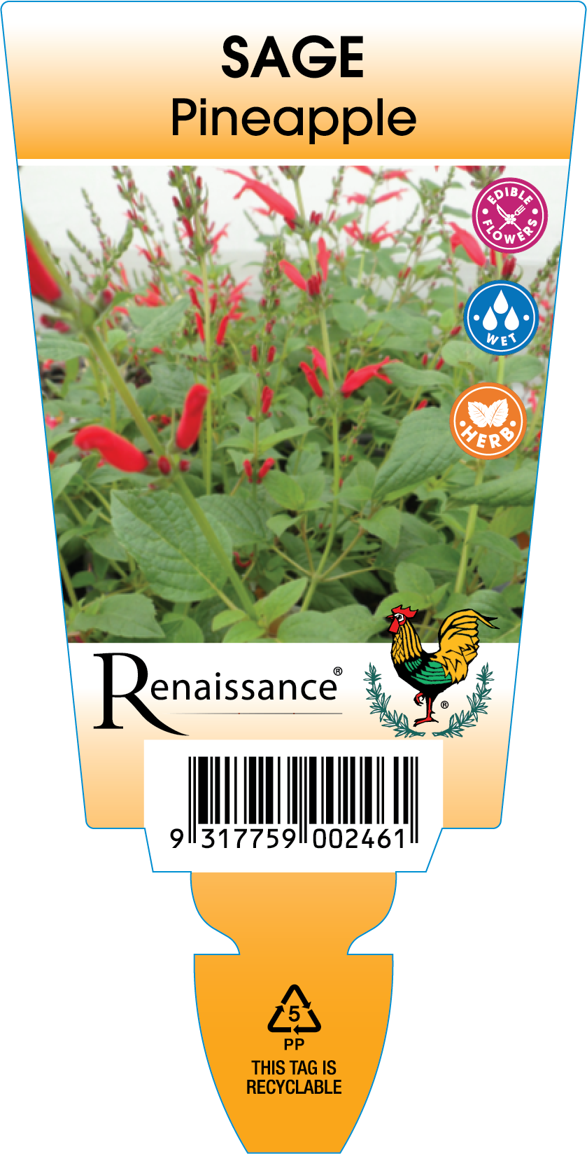 ren4297